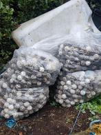 bioballs voor vijverfilter/biologische putten, Ophalen, Gebruikt, Vijverfilter