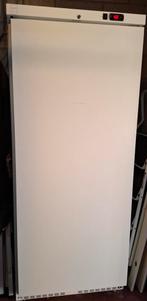 Professionele diepvries, Electroménager, Congélateurs, Enlèvement, Comme neuf