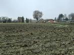 Landbouwgrond (70 are) in Arendonk, Immo, Gronden en Bouwgronden, 500 tot 1000 m²