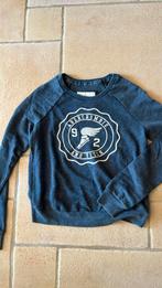 Pull abercrombie and Fitch maat small, Vêtements | Femmes, Pulls & Gilets, Enlèvement, Comme neuf