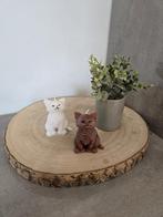 MOOIE KAARSEN, Huis en Inrichting, Ophalen, Zo goed als nieuw, Overige vormen