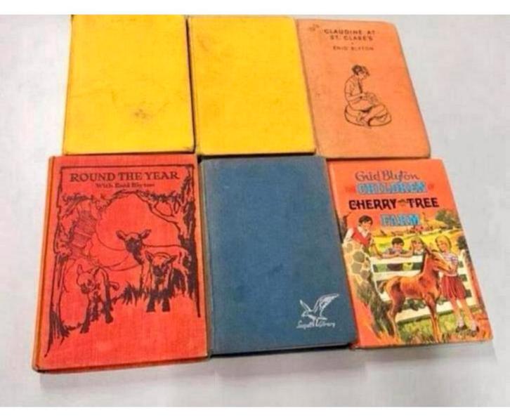 6 Hardcover boek Enid Blyton, dog stories, the boy next door, Boeken, Historische romans, Gelezen, Ophalen of Verzenden