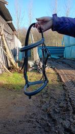 Hoofdsten + neusriem, Dieren en Toebehoren, Ophalen