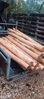 kastanje palen, Tuin en Terras, Ophalen, Nieuw