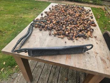 Bmw e30 oliekoeler  beschikbaar voor biedingen