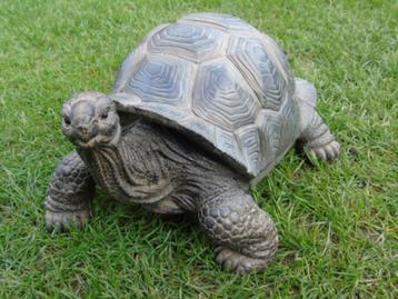  Standbeeld een schildpad, perfecte imitatie! beschikbaar voor biedingen