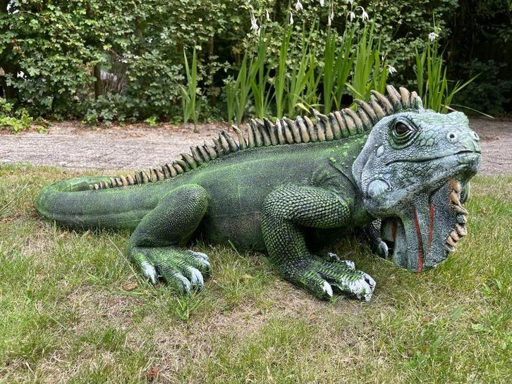 Beeld Leguaan, tuin, zwembad, vijver, salamander 100cm, Tuin en Terras, Tuinbeelden, Nieuw, Dierenbeeld, Kunststof, Ophalen