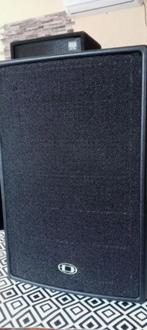 Dynacord D15-3, Audio, Tv en Foto, Luidsprekerboxen, Overige merken, Gebruikt, Ophalen of Verzenden, 120 watt of meer