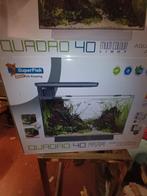 Quadro 40 van super Fish, Ophalen, Zo goed als nieuw