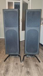 2 Palladium Sa2 boxen, Audio, Tv en Foto, Ophalen, Zo goed als nieuw