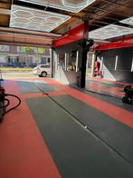 Carwash + Detailingbedrijf in Rotterdam (Nederland), Diensten en Vakmensen