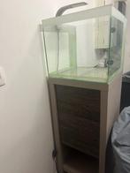 aquarium 60 litre avec meuble et pompe externe urgent, Enlèvement, Utilisé