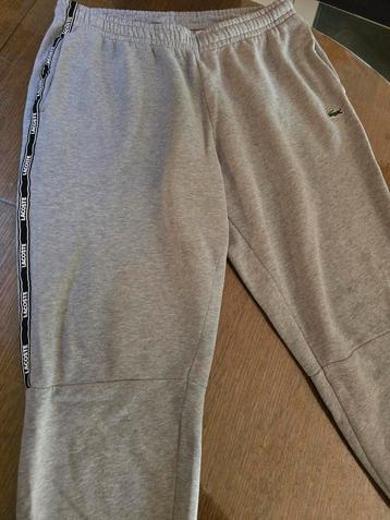 Training lacoste, Maat 52/54 (L), Lacoste, Overige typen, Nieuw