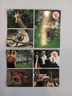 2 oudere postkaarten Bellewaerde Ieper, Ophalen of Verzenden, 1960 tot 1980, Ongelopen, West-Vlaanderen