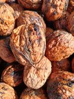 Super verse noten, Diversen, Levensmiddelen, Ophalen