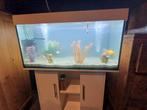 Aquarium met 11 goudvissen en eheim filter + accesoires, Ophalen