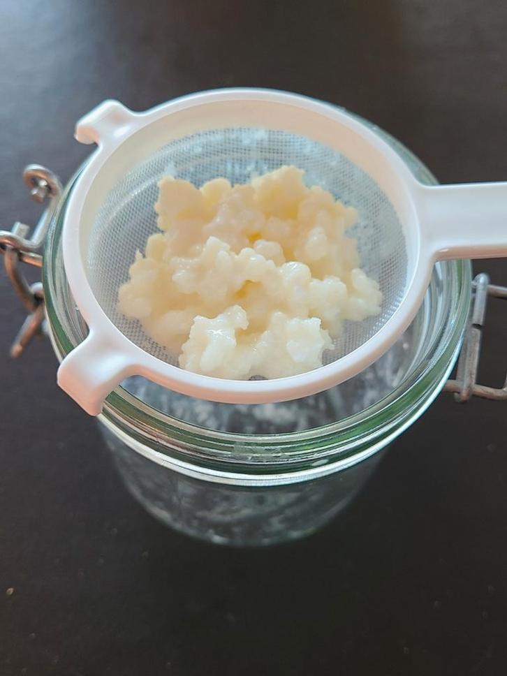 Verse melkkefir roosjes (30 gram), Diversen, Levensmiddelen, Ophalen