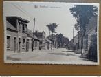 Postkaart Kalmthout: Kapellensteenweg, Collections, Cartes postales | Belgique, Non affranchie, Envoi, Anvers