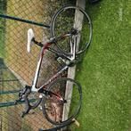 Sensa Carbon racefiets. Zowel mannen als vrouwen, tot 1.72m, Ophalen, Carbon