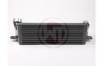 Wagner Tuning EVO 2 Intercooler BMW e9x m57/n57, Ophalen of Verzenden, Gebruikt, BMW