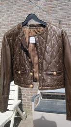 lederen jas  bruin merk cherles julien parijs, Kleding | Dames, Bruin, Nieuw, Ophalen, ANDERE