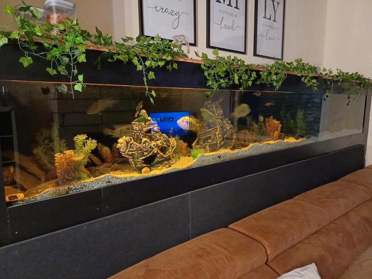 Aqarium 4m op 65 op 60, Dieren en Toebehoren, Reptielen en Amfibieën | Toebehoren, Zo goed als nieuw, Ophalen