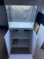 Juwel aquarium 120l, Dieren en Toebehoren, Vissen | Aquaria en Toebehoren, Ophalen, Gebruikt