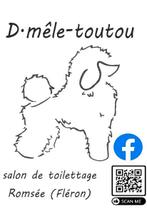 Toilettage Romsėe Fléron, Animaux & Accessoires, Accessoires pour chiens
