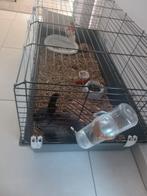 Konijn met grote kooi en alle toebehoren, Dieren en Toebehoren, Knaagdieren en Konijnen | Hokken en Kooien, Ophalen, Zo goed als nieuw