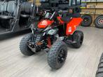 Can-Am DS 250 // NU MET €1.000 KORTING! DIRECT LEVERBAAR!, 1 cylindre, 250 cm³, Jusqu'à 11 kW