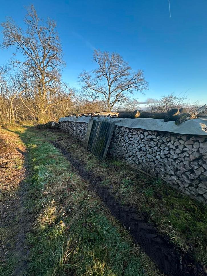 Bois de chauffage hêtre et charme., Jardin & Terrasse, Bois de chauffage, Bûches, Hêtre, Enlèvement