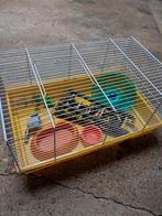 Hamster/muizen kooi, Dieren en Toebehoren, Ophalen, Zo goed als nieuw, Kooi, Hamster