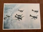 Carte postale allemande Stuka, Collections, Enlèvement ou Envoi, Armée de l'air, Photo ou Poster