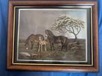 Holografisch foto paarden, Ophalen of Verzenden