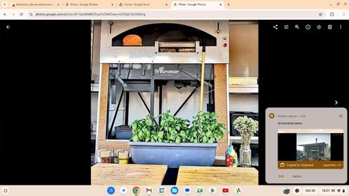 four à pizza grand mère, Zakelijke goederen, Horeca | Keukenapparatuur, Ovens, Microgolfovens en Steamers, Gebruikt, Ophalen