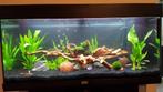 Juwel aquarium 180, Dieren en Toebehoren, Vissen | Aquaria en Toebehoren, Ophalen, Gebruikt, Gevuld zoetwateraquarium