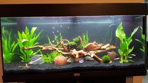Juwel aquarium 180, Dieren en Toebehoren, Vissen | Aquaria en Toebehoren, Gebruikt, Gevuld zoetwateraquarium, Ophalen