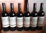 Caisse de 6 bouteilles de Château Marbuzet 1989, Pleine, France, Enlèvement ou Envoi, Vin rouge
