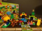 LEGO DUPLO Het Grote Bos - 10584*PRIMA STAAT*, Kinderen en Baby's, Speelgoed | Duplo en Lego, Ophalen of Verzenden, Duplo