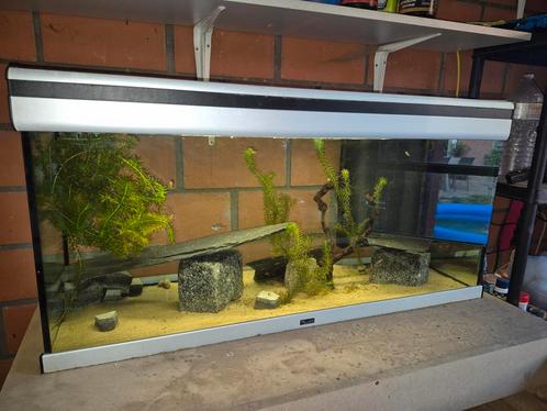 Compleet aquarium, Dieren en Toebehoren, Vissen | Aquaria en Toebehoren, Gebruikt, Ophalen