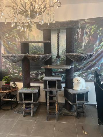 Enorme petrebels krabpaal