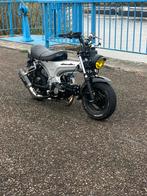Dax 72cc, Ophalen, Nieuw, Uitlaat, Honda
