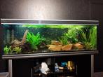 Aquarium (+500liter), Dieren en Toebehoren, Vissen | Aquaria en Toebehoren, Ophalen, Gebruikt, Leeg aquarium