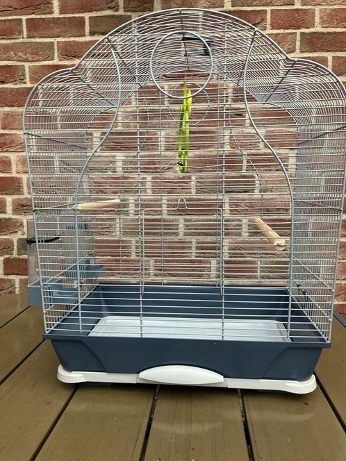 LUXE KOOI VOOR PARKIETEN - KANARIE KOOI  55 EURO, Dieren en Toebehoren, Vogels | Hokken en Kooien, Zo goed als nieuw, Vogelkooi