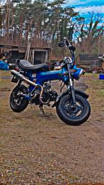 Te koop / te ruil: Honda dax  schakelbrommer (B-klasse), Fietsen en Brommers, Brommers | Honda, Ophalen, Zo goed als nieuw, Overige modellen