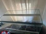 Terrarium voor Pogona, Dieren en Toebehoren, Ophalen, Zo goed als nieuw