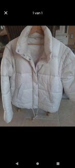 Beige jas merk oui nieuw, Kleding | Dames, Jassen | Winter, Ophalen, Zo goed als nieuw, Beige