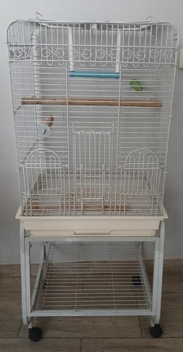Grande cage pour perroquet avec ses accessoires complets beschikbaar voor biedingen