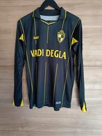 Matchworn S.K Lierse, Collections, Articles de Sport & Football, Enlèvement ou Envoi, Utilisé, Maillot