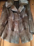 Wintermantel, Enlèvement, Porté, Taille 42/44 (L), Brun